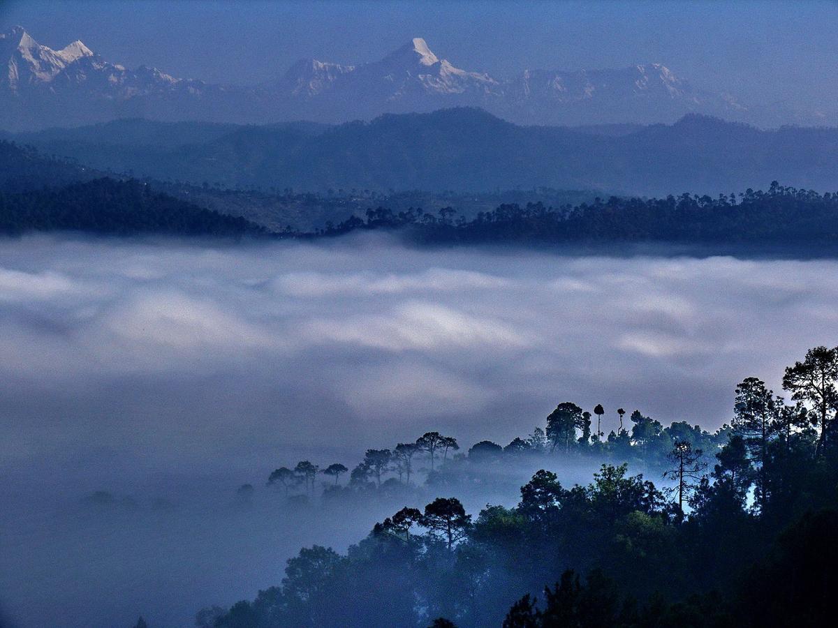 Ayurvaid Kalmatia Almora Exterior foto
