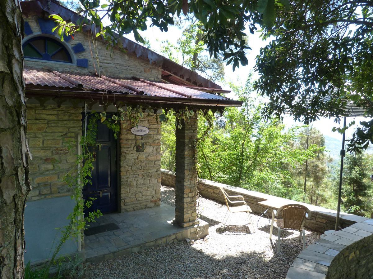 Ayurvaid Kalmatia Almora Exterior foto
