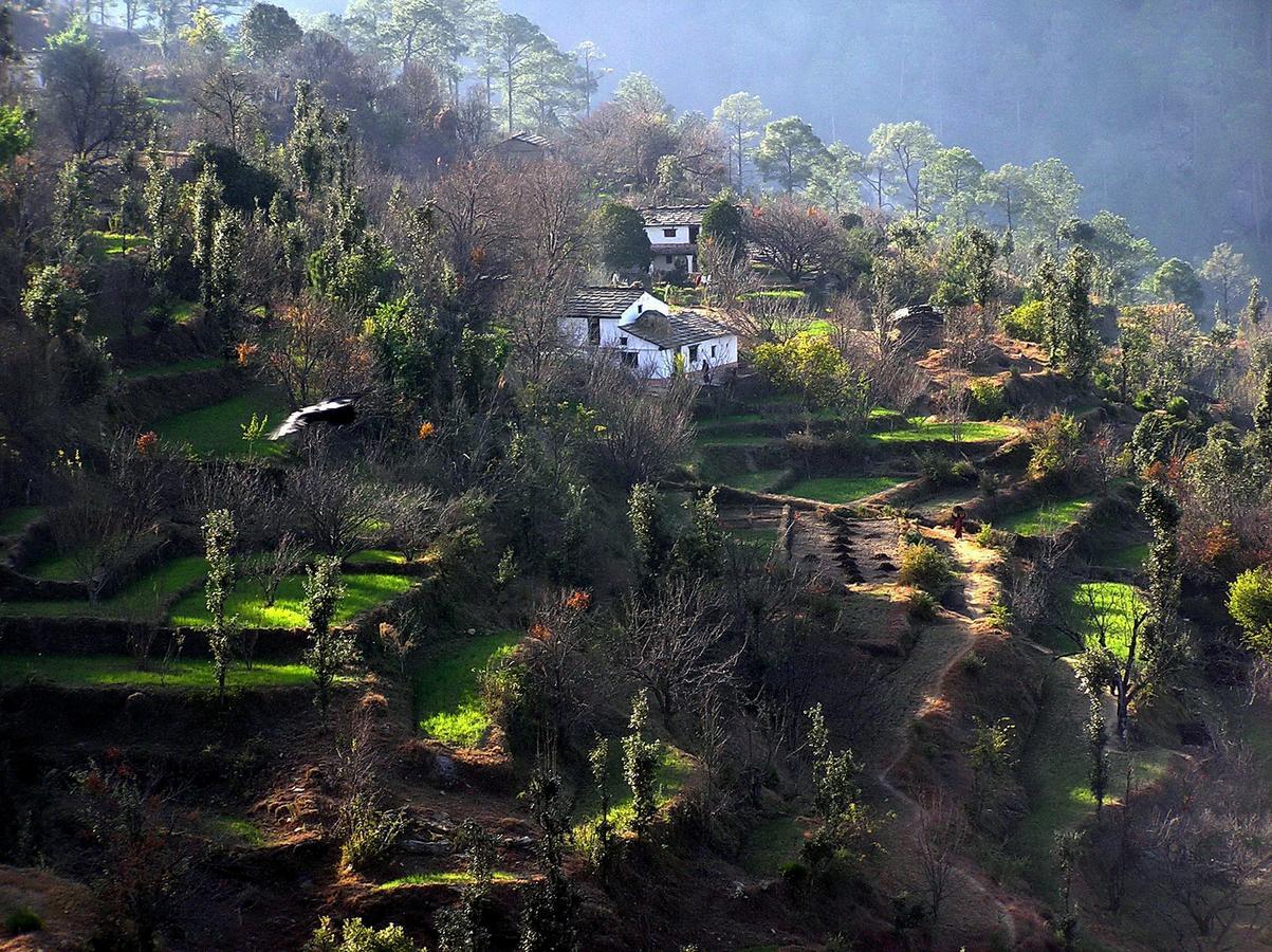 Ayurvaid Kalmatia Almora Exterior foto